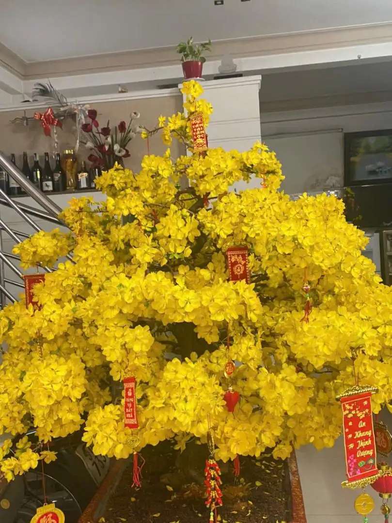 HÌNH MẪU 52