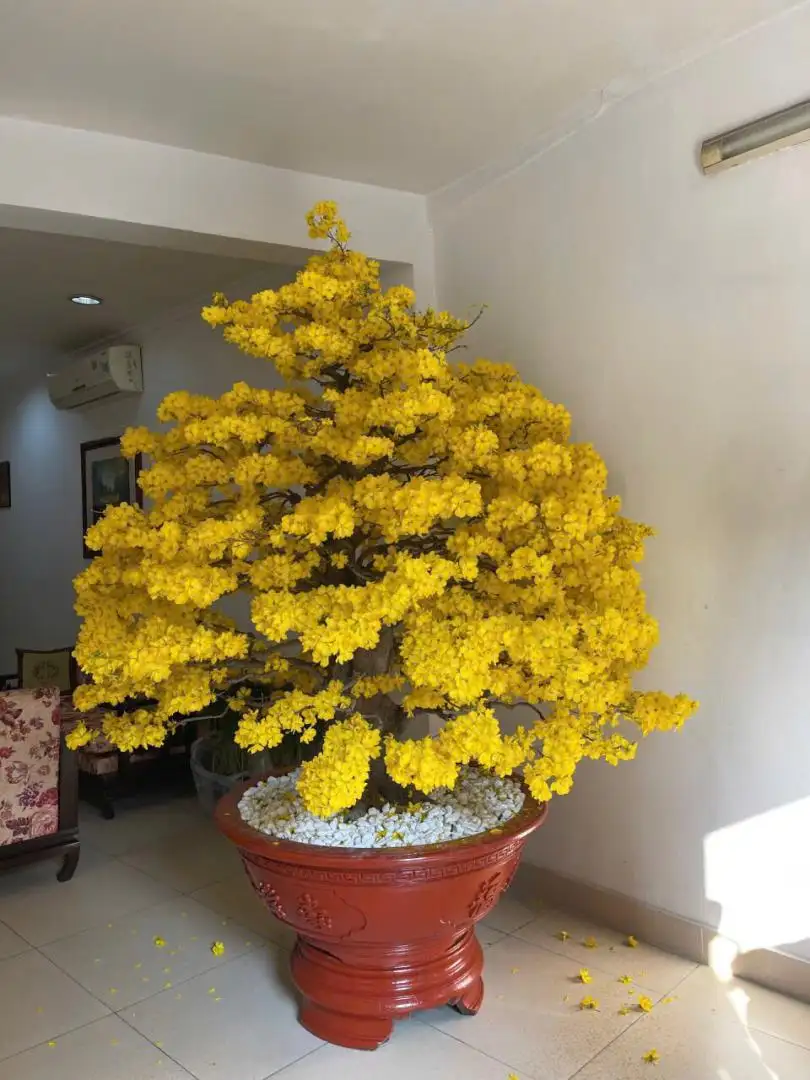 HÌNH MẪU 45