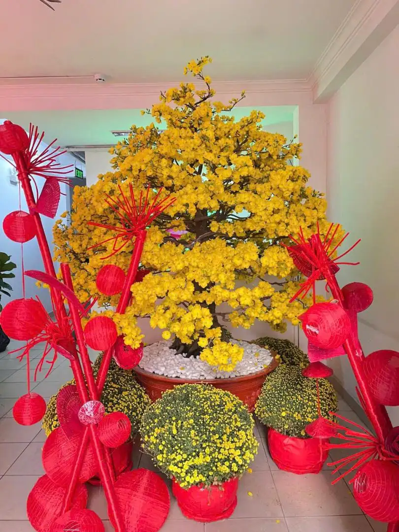 HÌNH MẪU 42