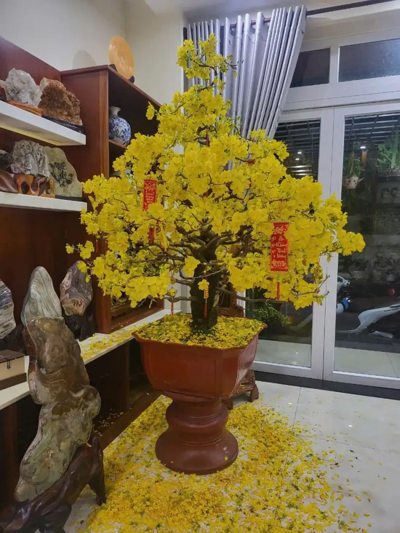 HÌNH MẪU 38