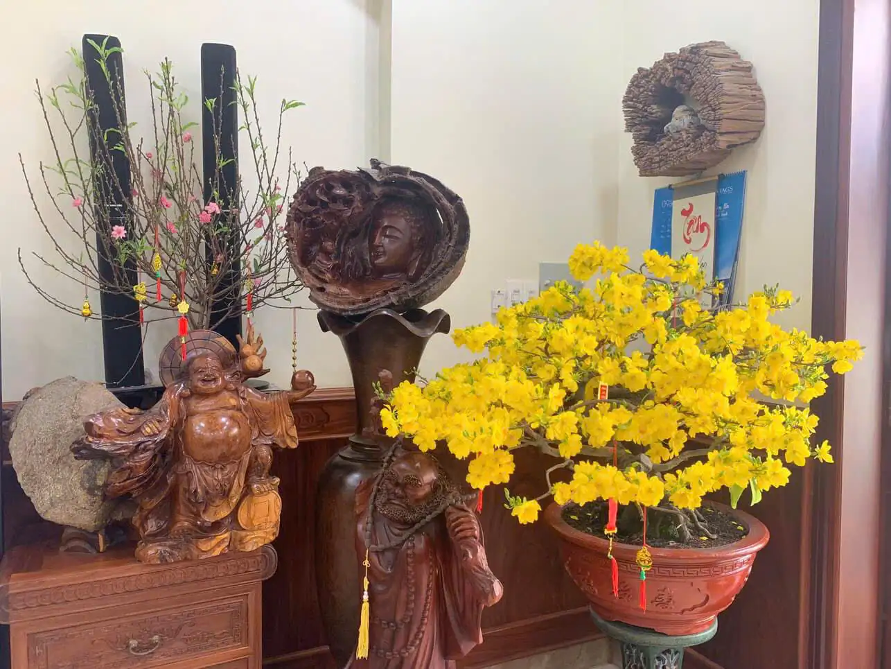 HÌNH MẪU 47