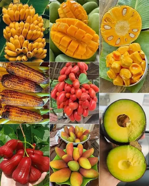 HÌNH MẪU 14