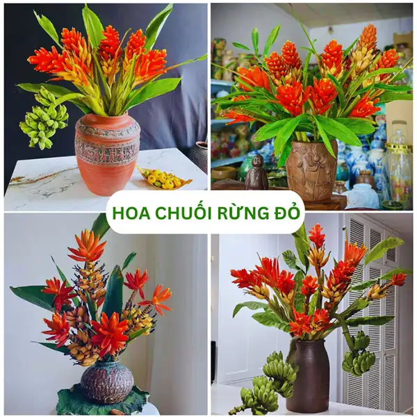MẪU TRANG TRÍ 9