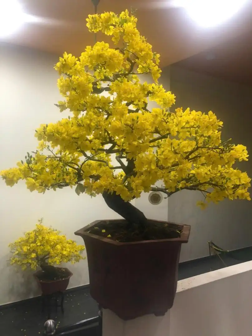 HÌNH MẪU 30