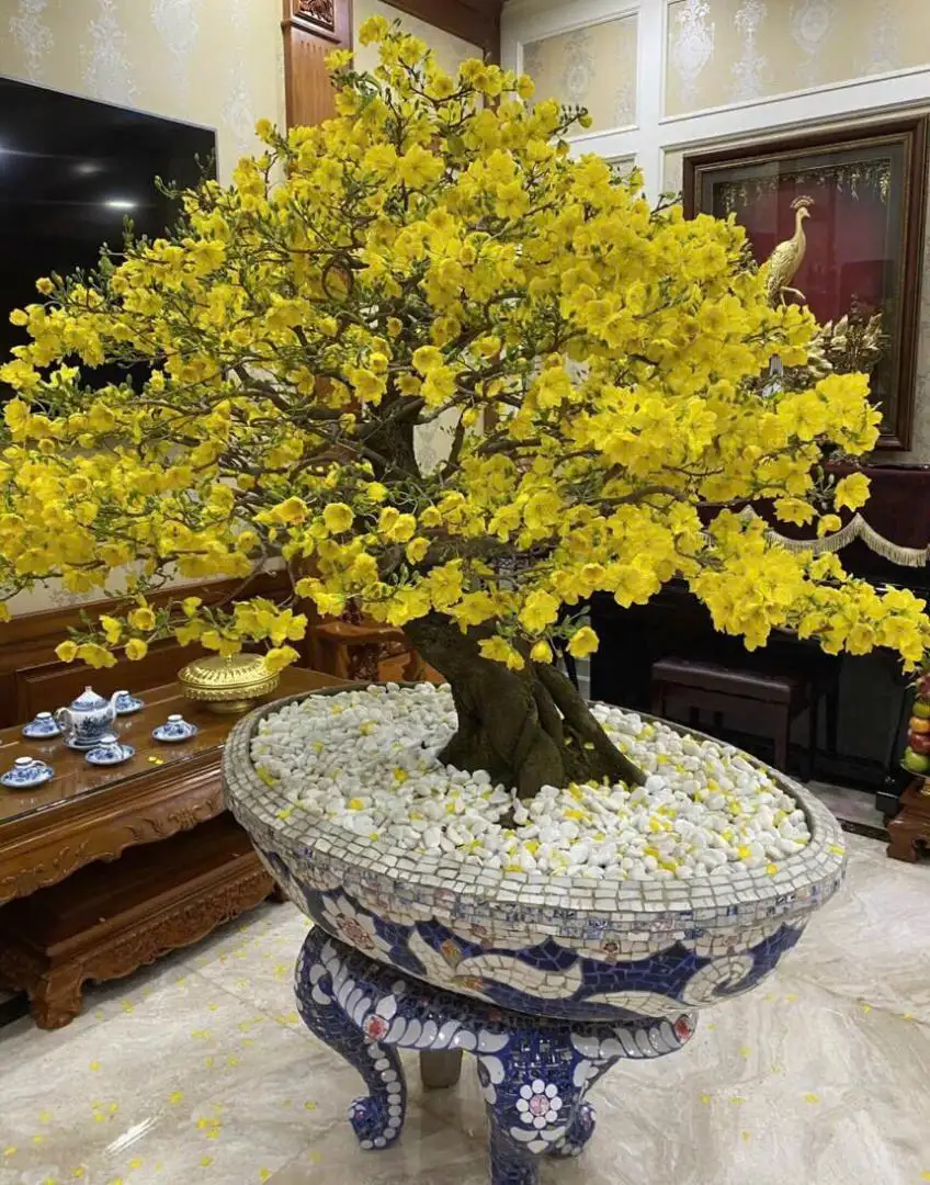 HÌNH MẪU 27