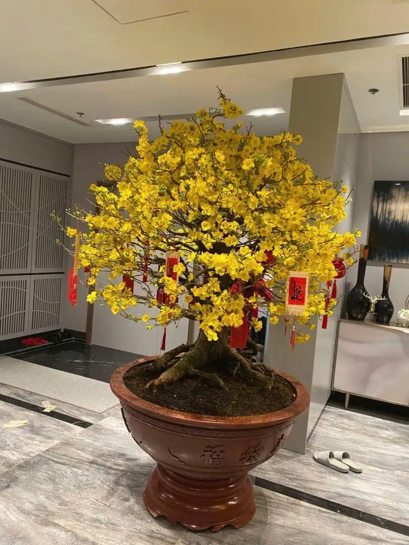 HÌNH MẪU 26