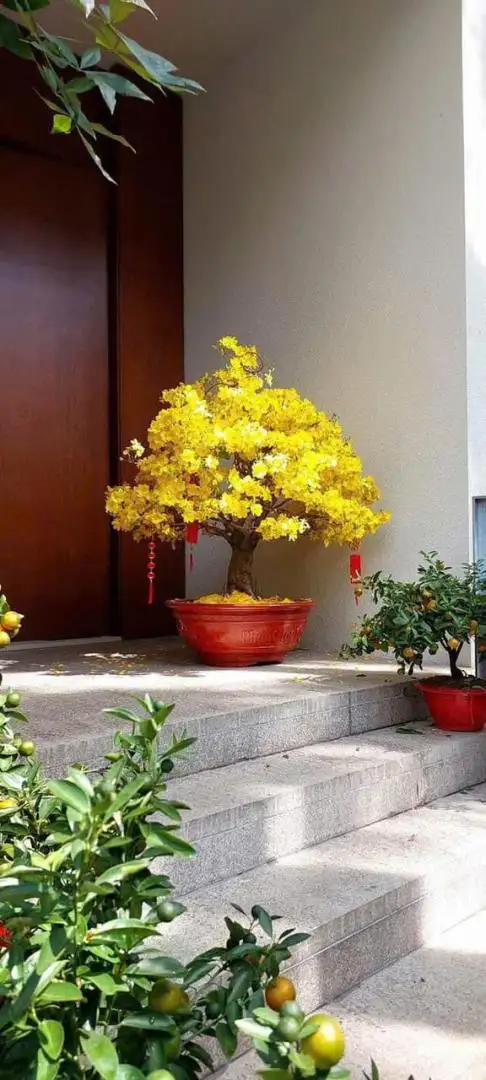 HÌNH MẪU 21