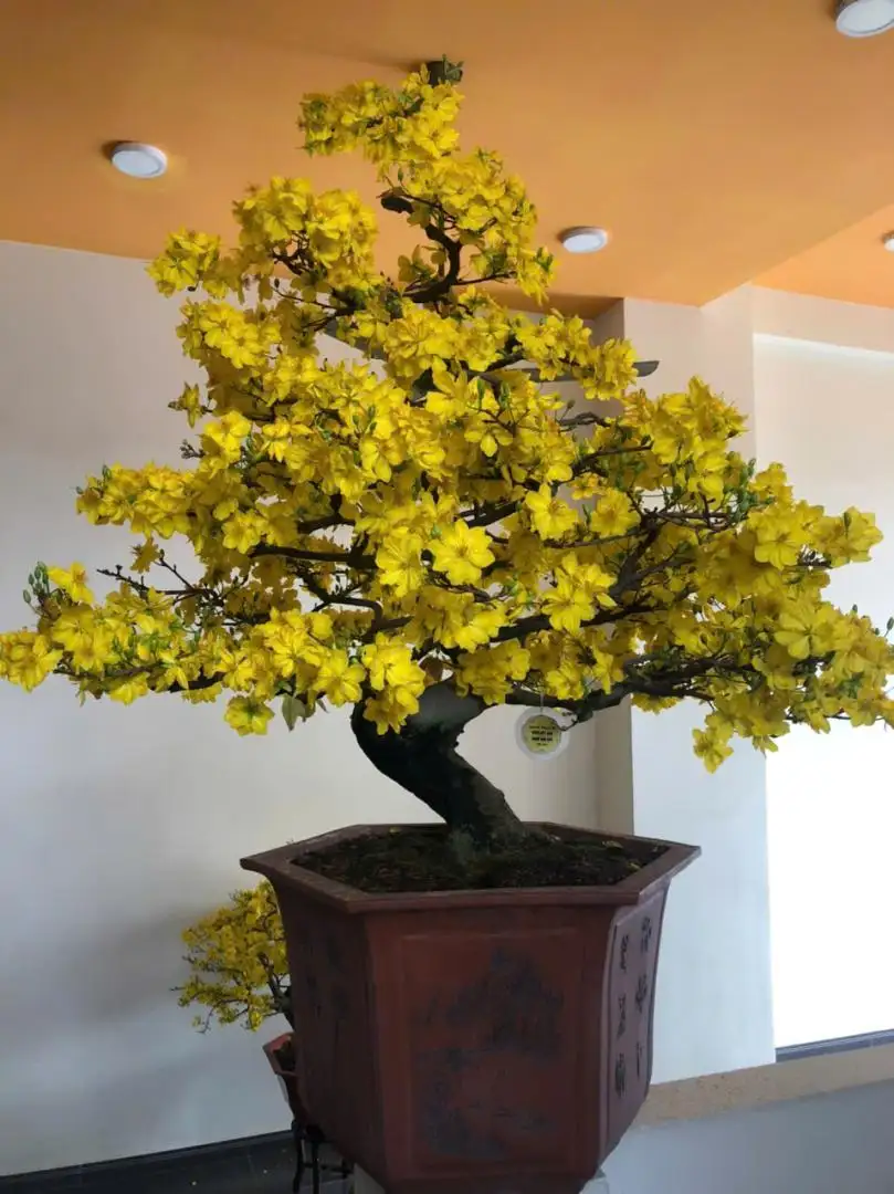 HÌNH MẪU 18