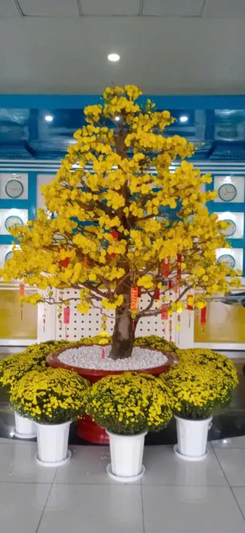 HÌNH MẪU 15