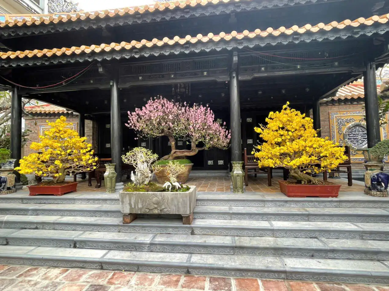 HÌNH MẪU 12