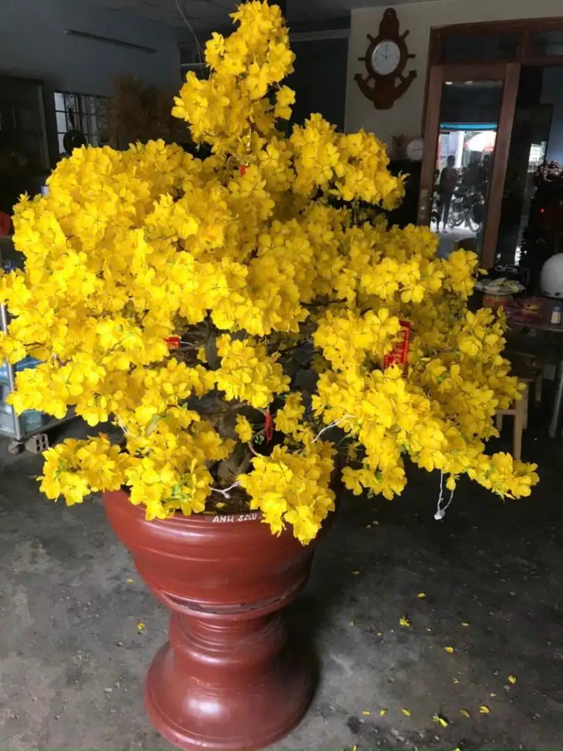 HÌNH MẪU 10