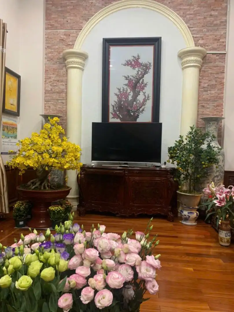HÌNH MẪU 08