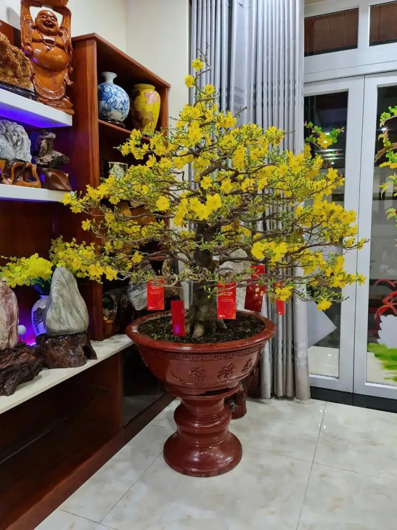 HÌNH MẪU 07