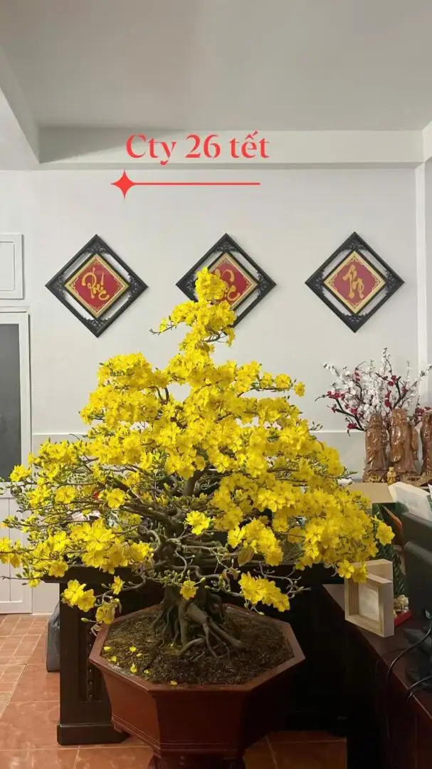 HÌNH MẪU 05