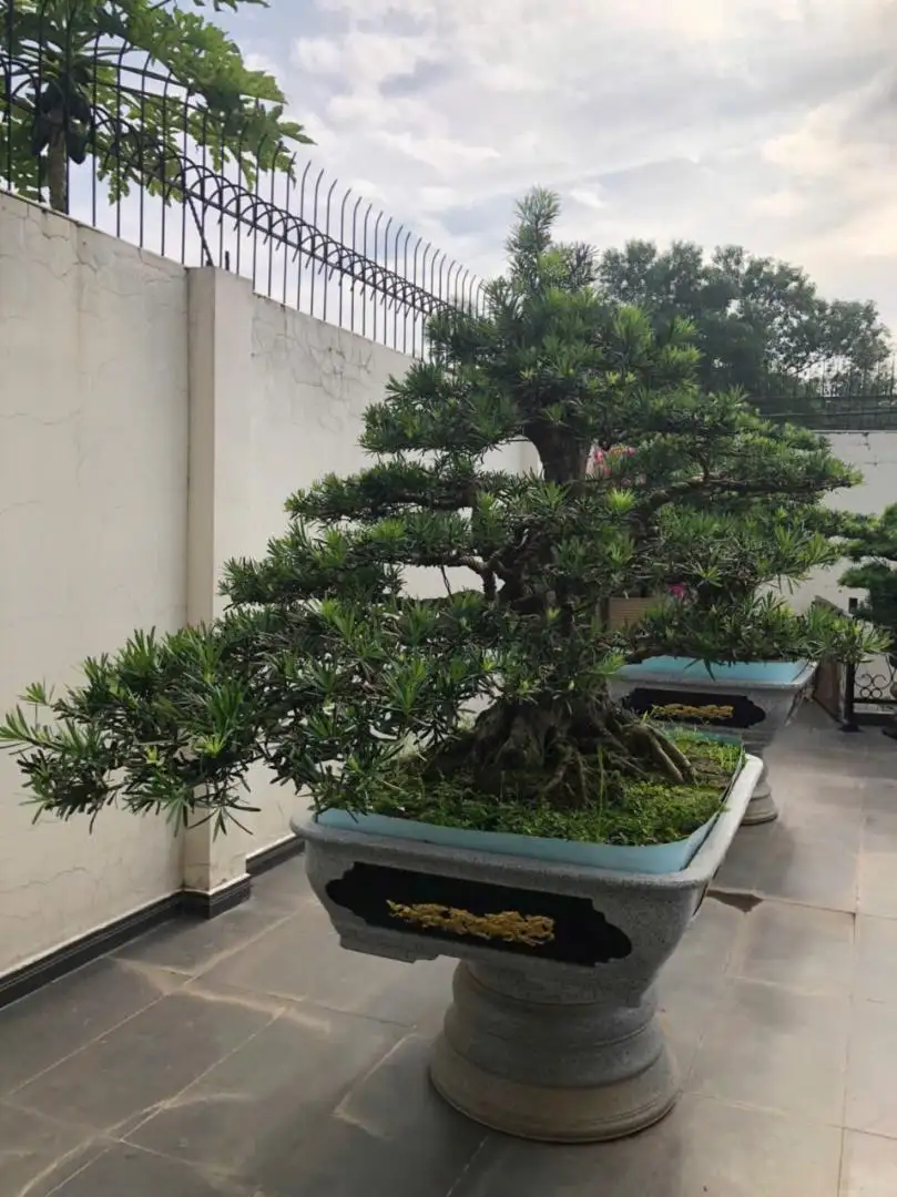 HBT – ẢNH MẪU 24