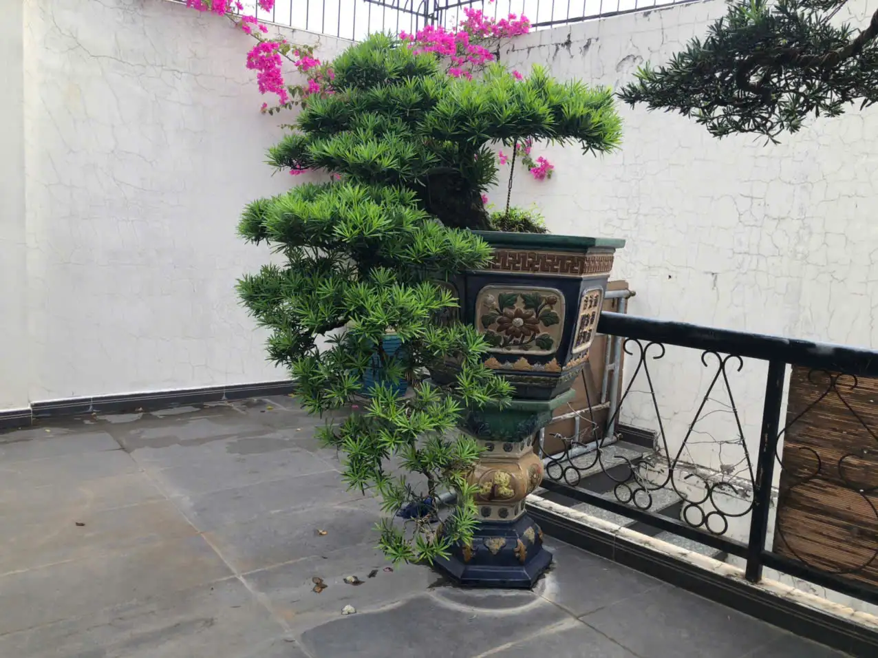 HBT – ẢNH MẪU 21