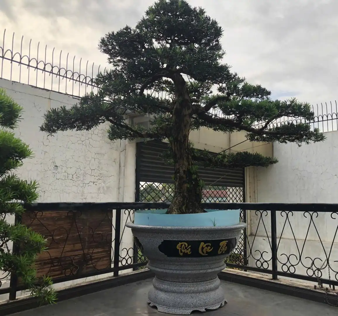 HBT – ẢNH MẪU 20