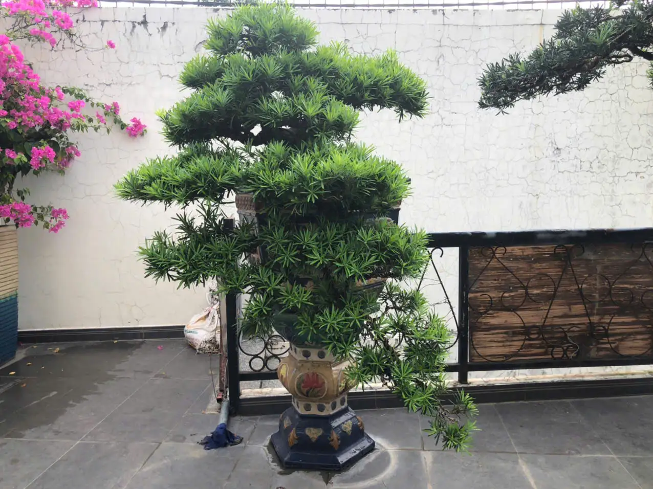 HBT – ẢNH MẪU 19
