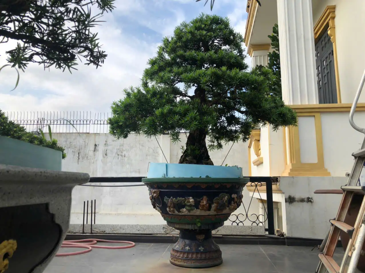 HBT – ẢNH MẪU 18