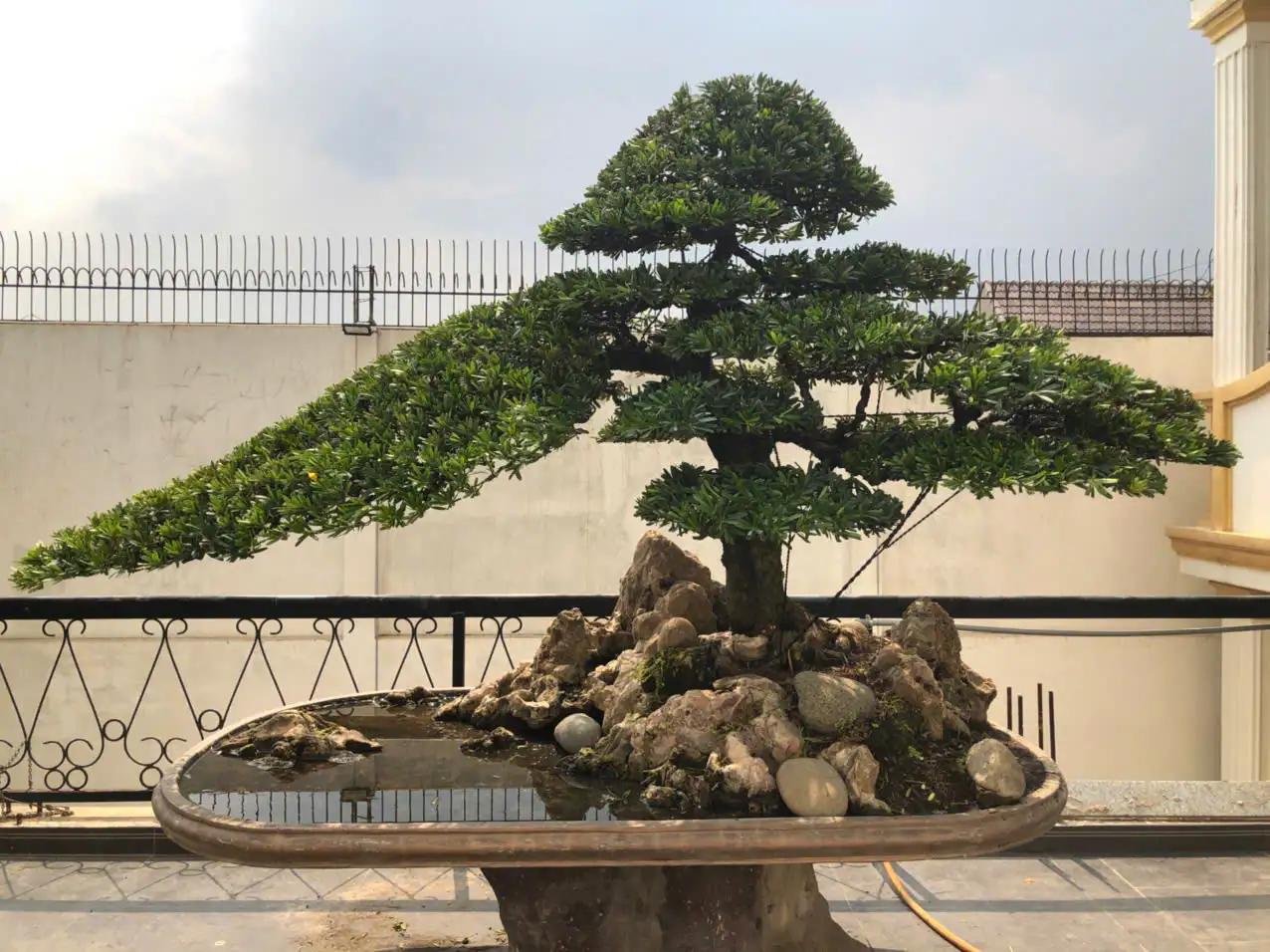HBT – ẢNH MẪU 16