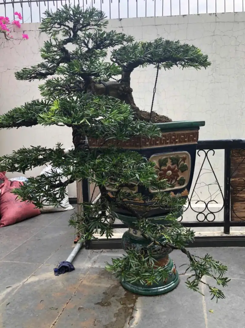 HBT – ẢNH MẪU 14