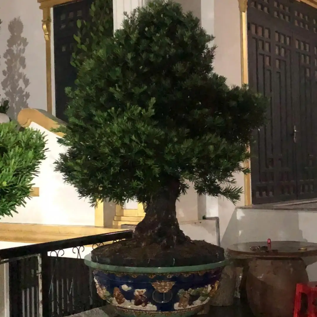 HBT – ẢNH MẪU 05