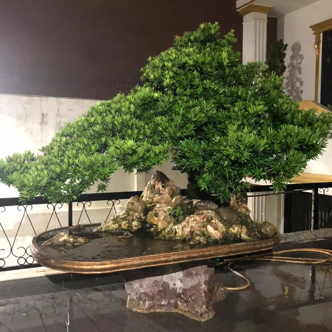 HBT – ẢNH MẪU 04