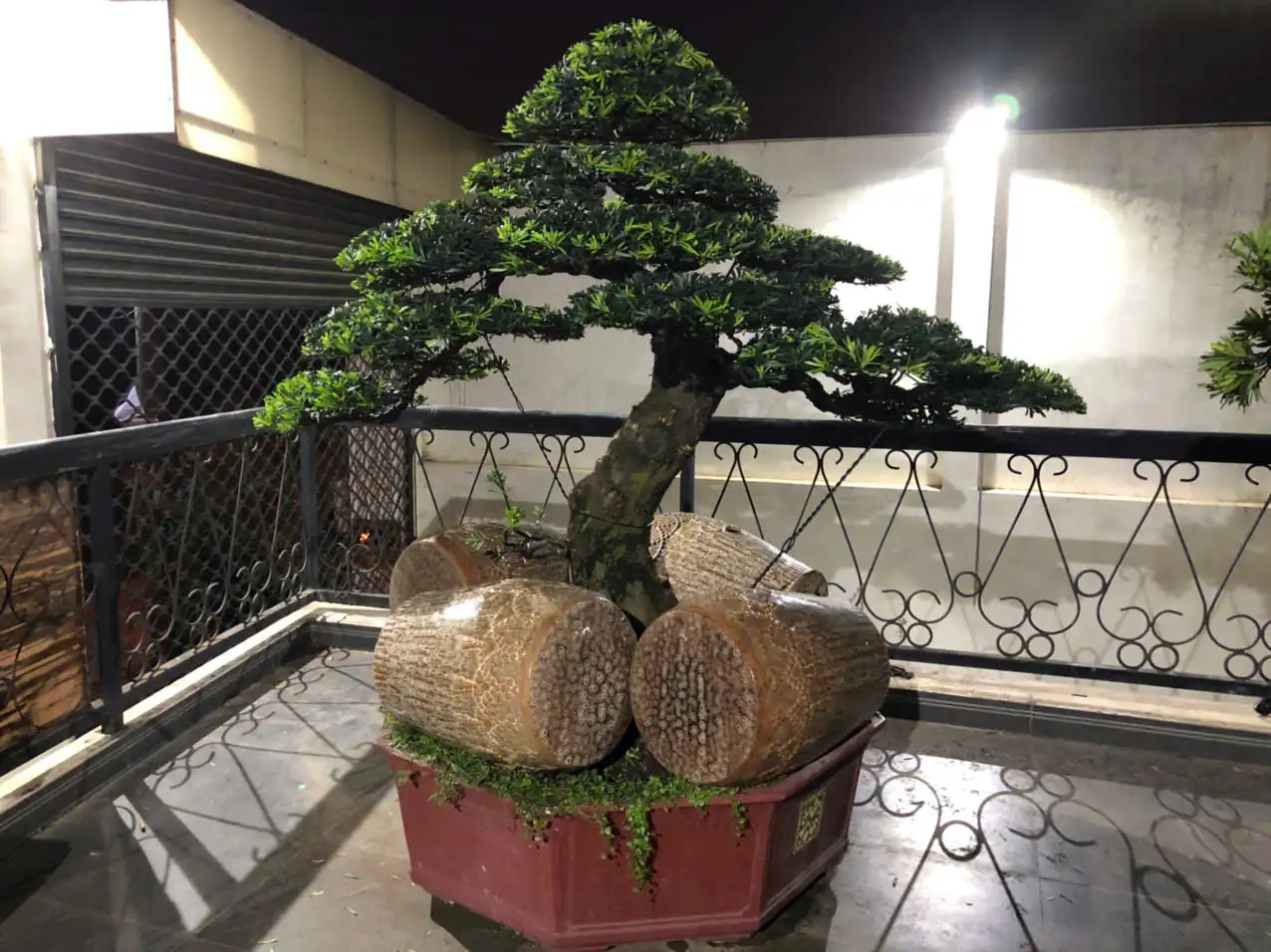 HBT – ẢNH MẪU 03