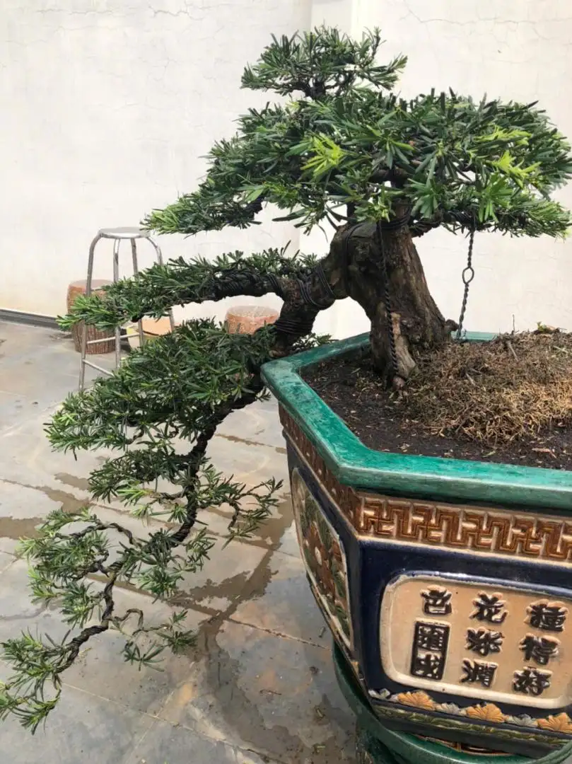 HBT – ẢNH MẪU 02