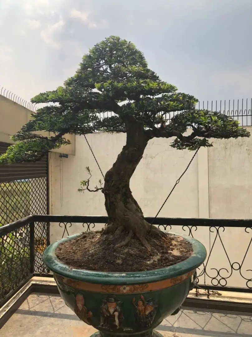 HBT - ẢNH MẪU 01