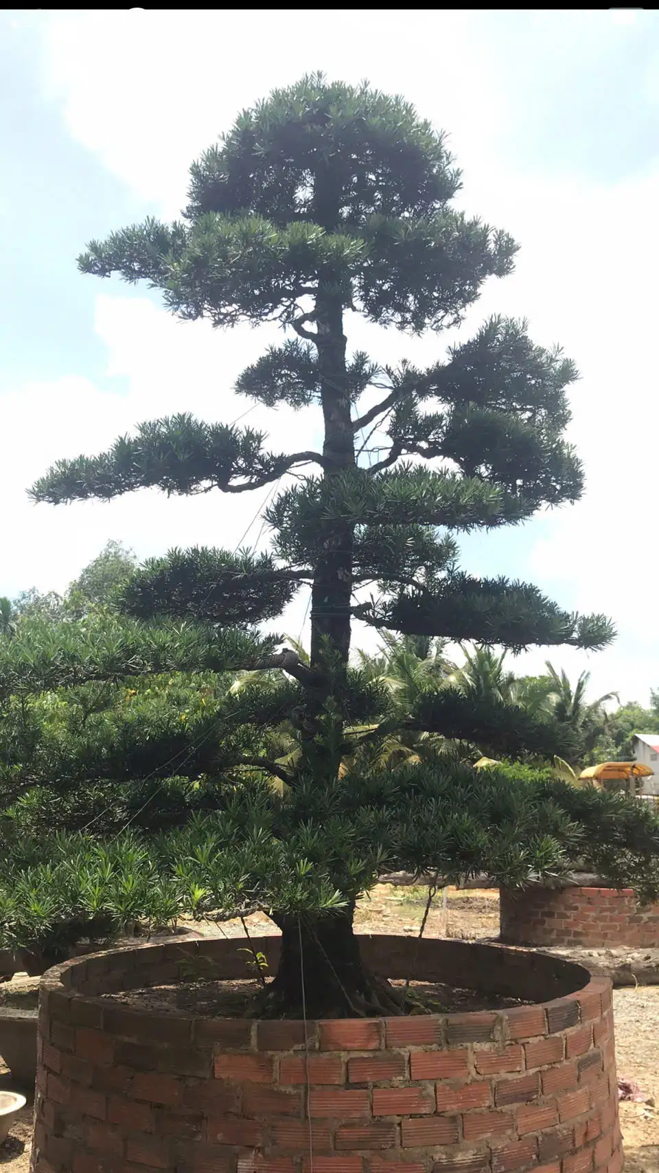 HBT – ẢNH MẪU 36