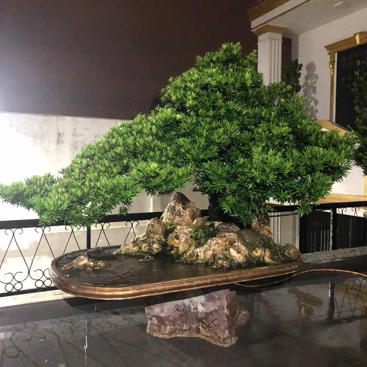 HBT – ẢNH MẪU 25